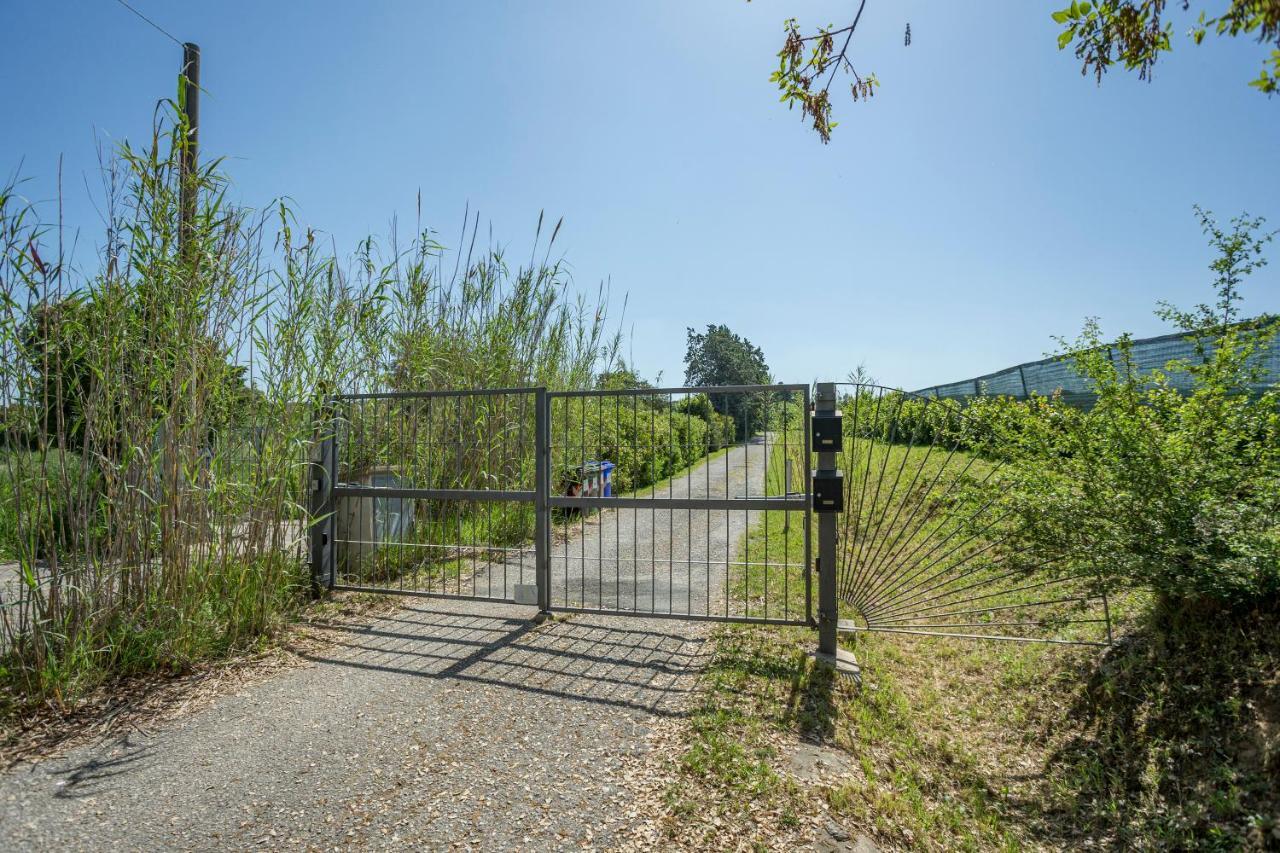 Podere Belvedere Livorno Exteriér fotografie