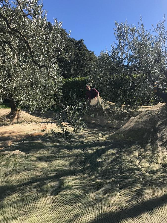 Podere Belvedere Livorno Exteriér fotografie